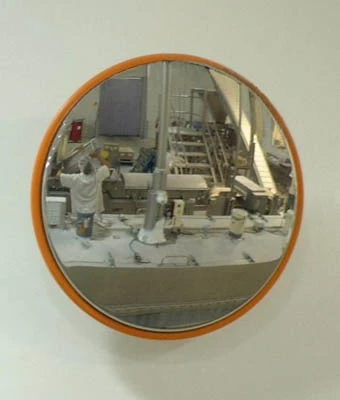 Food processing mirror
