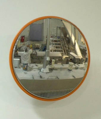 Round food processing mirror Convex