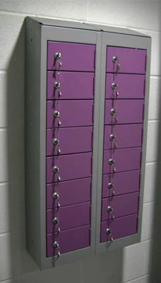 Probe Wallet locker 8 door With Cam Lock