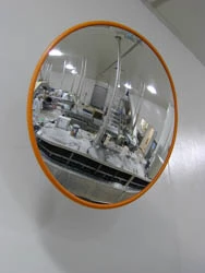 Food Processing Mirror