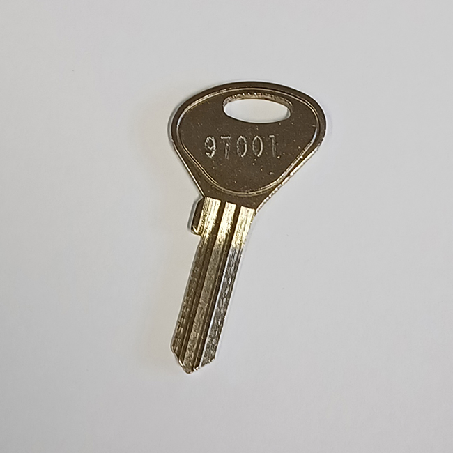 Replacement Key